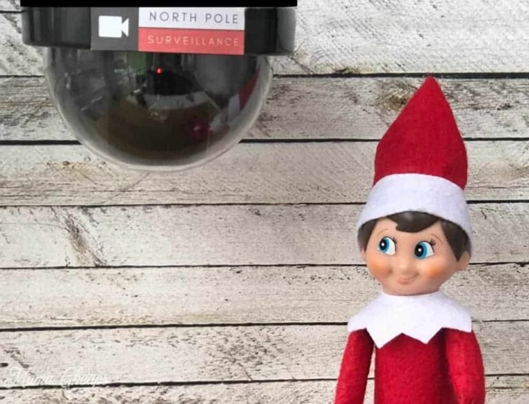 North-Pole-Surveillance-Spy-Camera