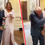 Untitled design (58)