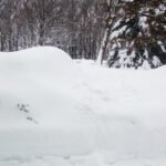 385c6b1be0b977ee934ea285b4ba8ae438078404f7e1563ce2c9e4baf5a176bd