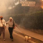 989481ecee2fc7adc523cf24d8f47b6cd4795b0526aef8b36b53aa1c73fbdd99