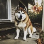 c7bf8c25694acfea9f071582e729b7ea52f1c6f8312bc1dafb83e99f95e3cbbd