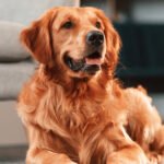 5b086a91213b474b5382b77b469822211e453b9347c6461d5816f261e7fc0a4e